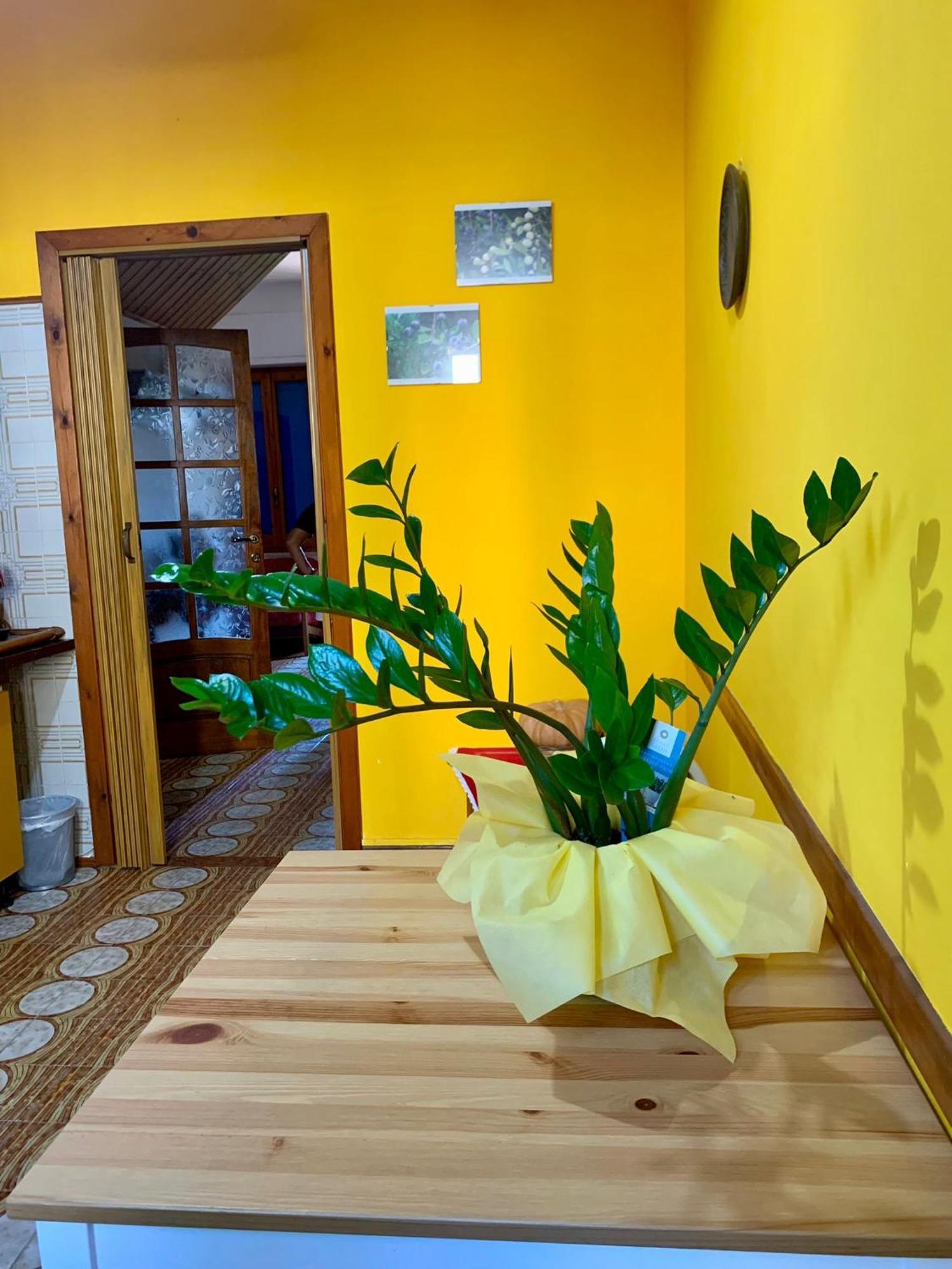 B & B Il Mirto 2 SantʼAntìoco Zewnętrze zdjęcie